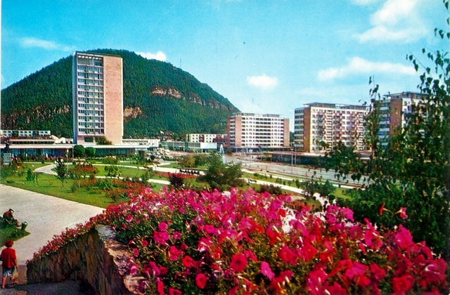 1338 - Piatra Neamt